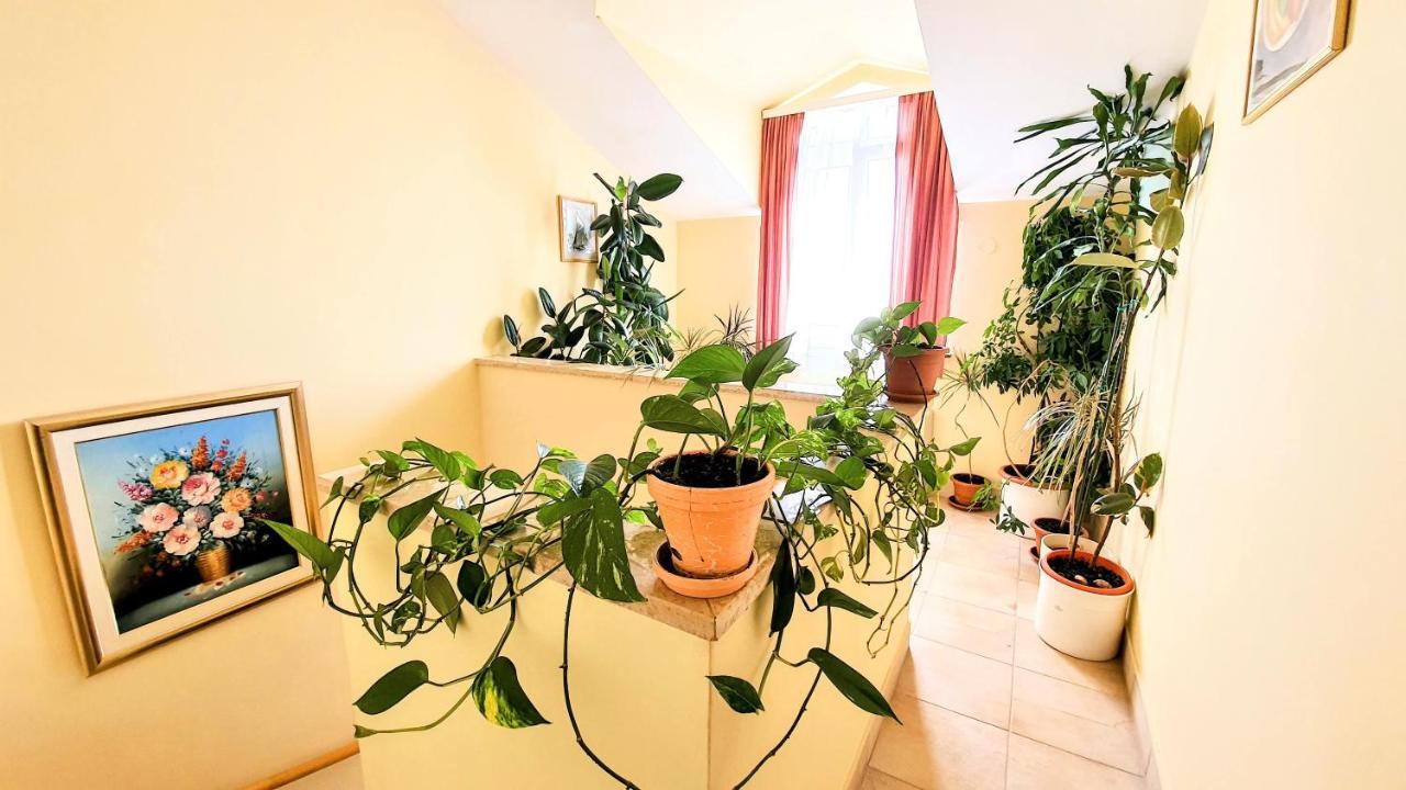Villa Palcic Novalja Exterior foto